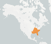 distribution map thumnbnail for Rafinesque's Big-eared Bat (Corynorhinus rafinesquii)